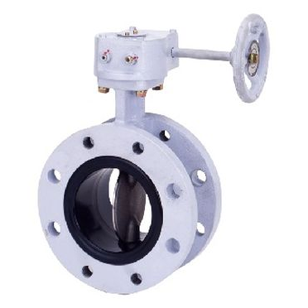 KITZ開滋閥門、日本進口閥門G-16DJE-100A