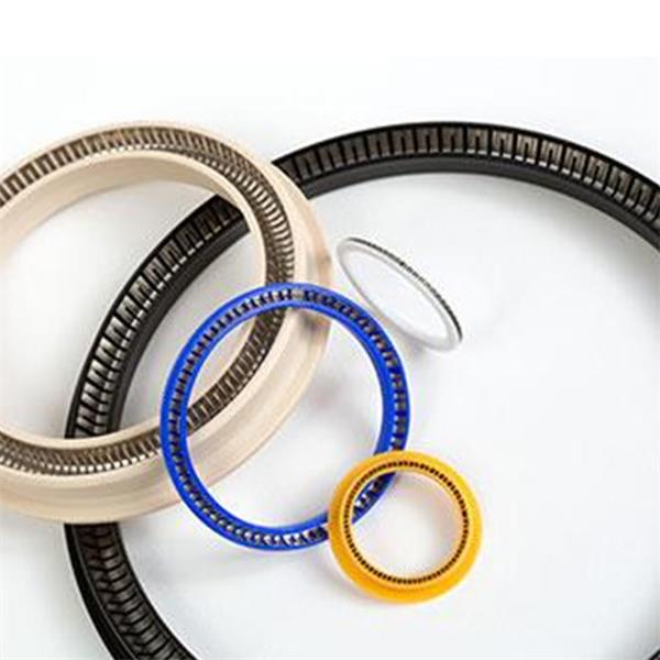 圣戈班 saint gobian 彈簧蓄能密封圈OmniSeal? APS